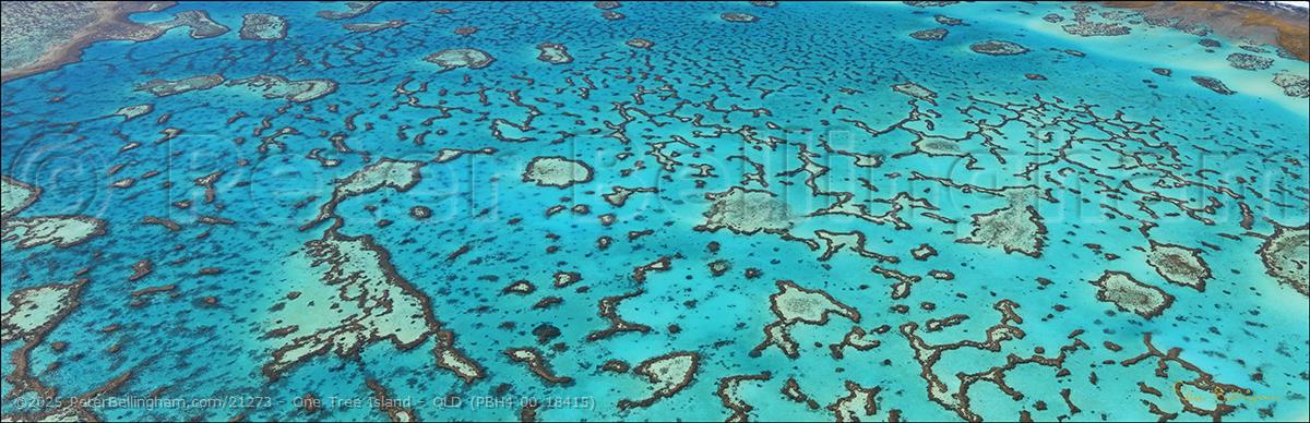 Peter Bellingham Photography One Tree Island - QLD (PBH4 00 18415)